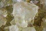 Yellow Cubic Fluorite Crystal Cluster - Morocco #104605-3